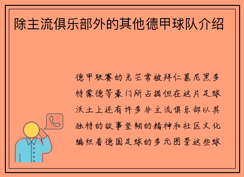 除主流俱乐部外的其他德甲球队介绍