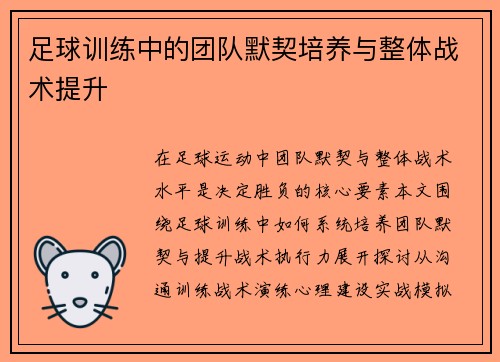 足球训练中的团队默契培养与整体战术提升